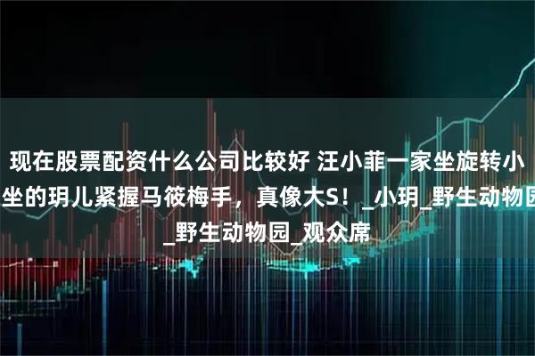 现在股票配资什么公司比较好 汪小菲一家坐旋转小火车！端坐的玥儿紧握马筱梅手，真像大S！_小玥_野生动物园_观众席
