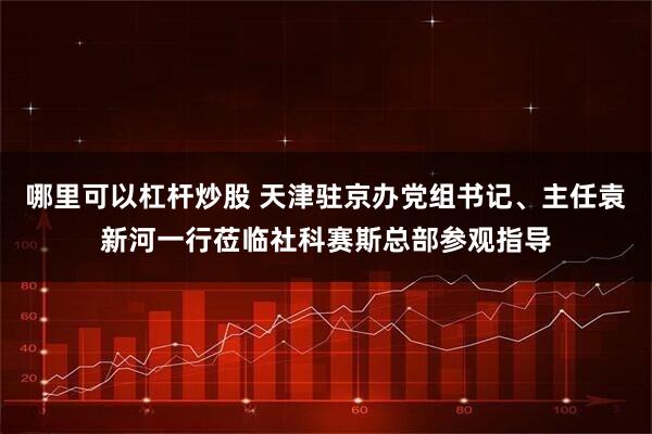 哪里可以杠杆炒股 天津驻京办党组书记、主任袁新河一行莅临社科赛斯总部参观指导